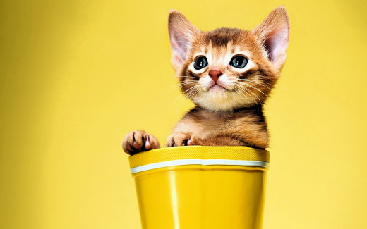 �1757751 �������(a): ����������:2120x1325